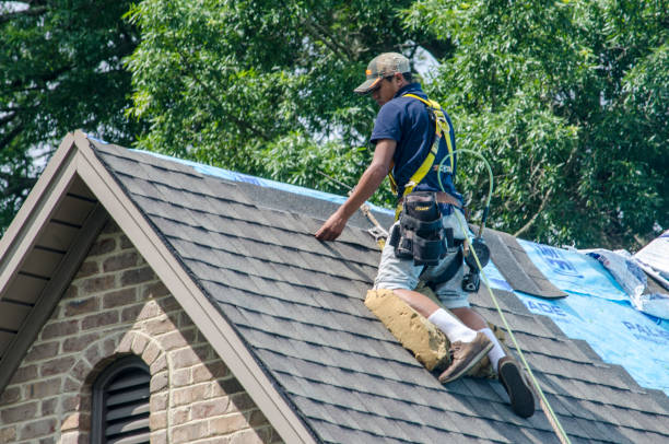 Residential Roof Replacement in Leland, MS